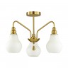 Люстра потолочная Lumion MODERNI 4562/3C