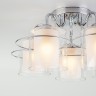 Потолочный светильник  Eurosvet Darcy 30160/5 хром