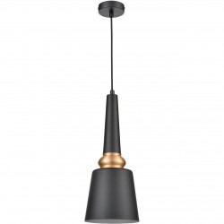 Подвесной светильник Vele Luce Appassionato VL2142P01