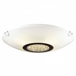 Светильник настенно-потолочный Favourite 1694-2C