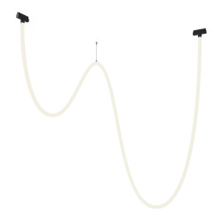 Трековый подвесной светильник Maytoni TR101-2-100W4K-B Tau