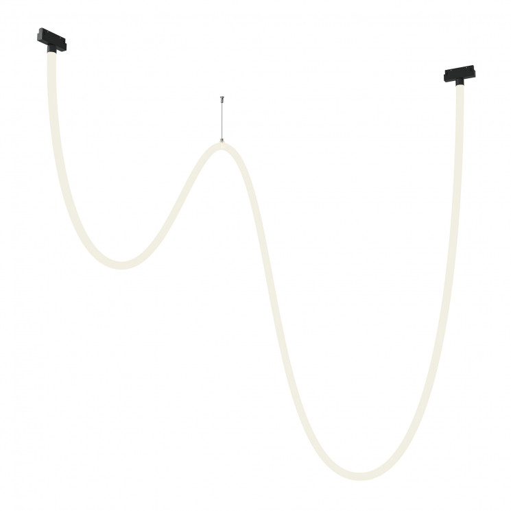 Трековый подвесной светильник Maytoni TR101-2-100W4K-B Tau