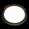Накладной светильник LOFT IT 10198 Black Coin