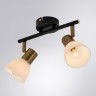 Спот ARTE Lamp A3117PL-2BK FALENA