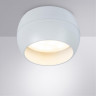 Накладной светильник ARTE Lamp A5551PL-1WH GAMBO