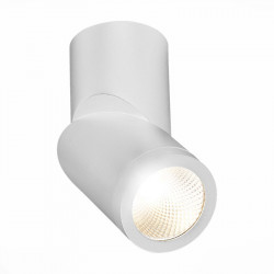 Накладной светильник ST-Luce ST650.542.10 ST650