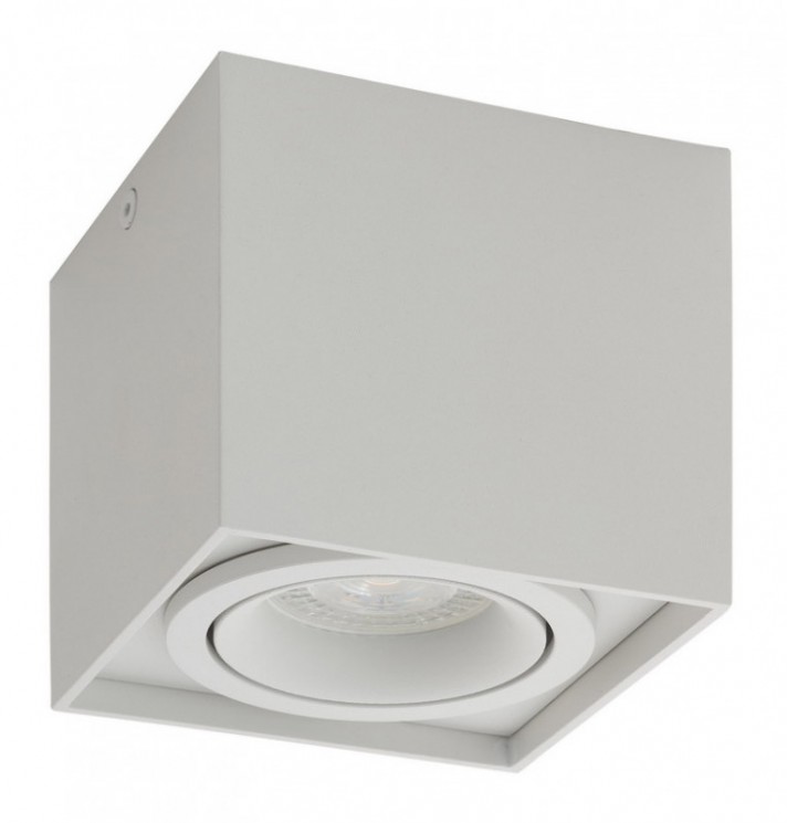 Накладной светильник Denkirs DK2003-WH