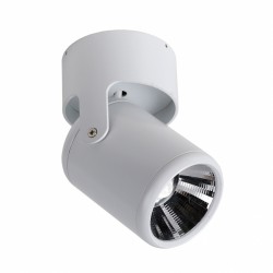 Светильник Favourite 1980-1U Projector