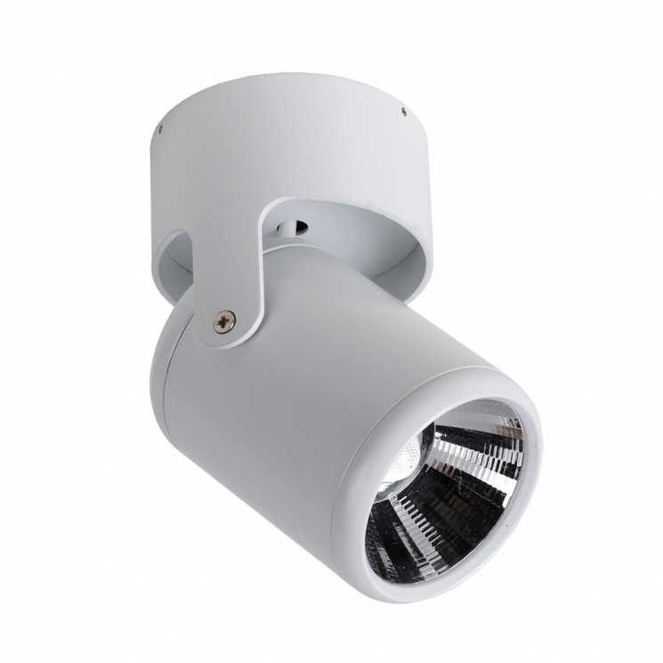 Светильник Favourite 1980-1U Projector