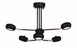 Люстра Favourite 1749-6U