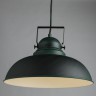 Подвесной светильник ARTE Lamp A5213SP-1BG MARTIN