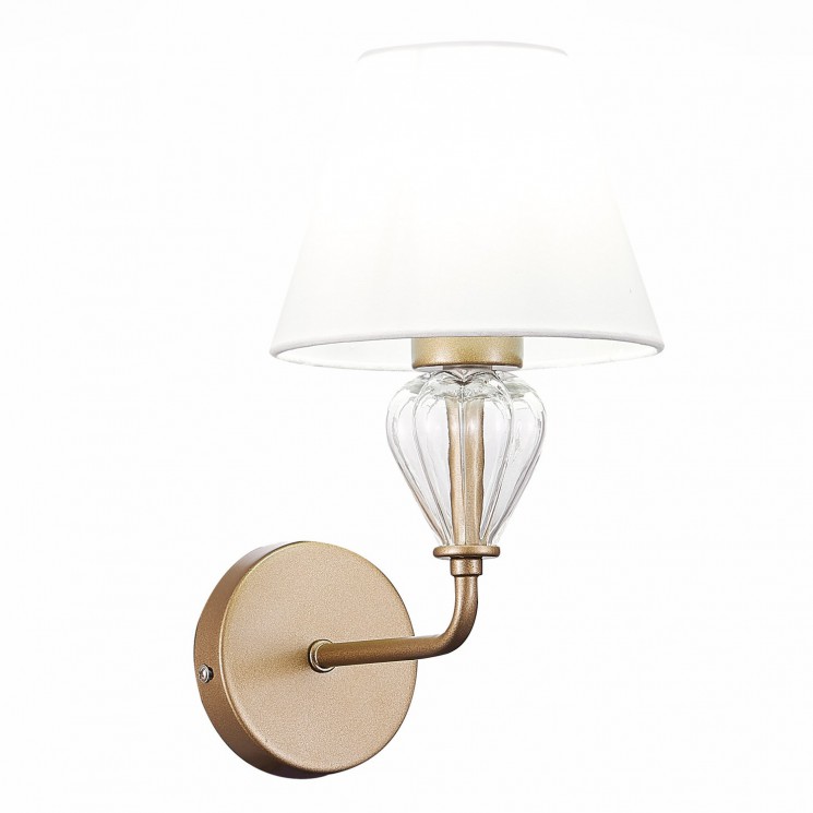 Светильник настенный Evoluce DALIDA SLE107421-01