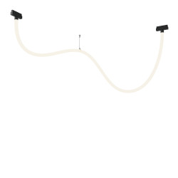 Трековый подвесной светильник Maytoni TR101-2-50W4K-B Tau