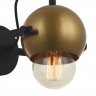 Настенный светильник Favourite 2358-1W Kugeln