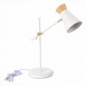 Настольная лампа Evoluce SLE1252-504-01 ALFEO