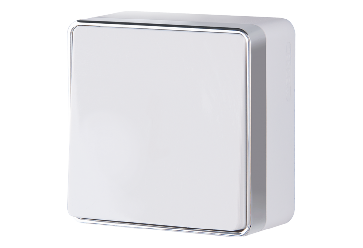 Выключатель одноклавишный проходной Gallant белый Werkel W5012001 (WL15-01-03)