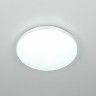 Накладной светильник Citilux CL71424SV Симпла