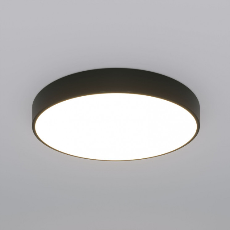 Потолочный светильник Eurosvet 90320/1 черный Entire