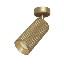 Светильник потолочный Maytoni Alfa C034CL-01G