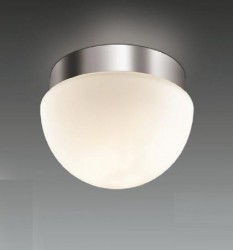 Настенно-потолочный светильник ODEON LIGHT 2443/1A