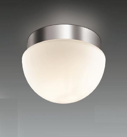 Настенно-потолочный светильник ODEON LIGHT 2443/1A