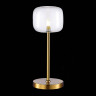Настольная лампа ST-Luce SL1049.304.01 Finn
