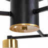 Накладная люстра ARTE Lamp A7027PL-8BK LEO