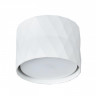 Накладной светильник ARTE Lamp A5552PL-1WH FANG