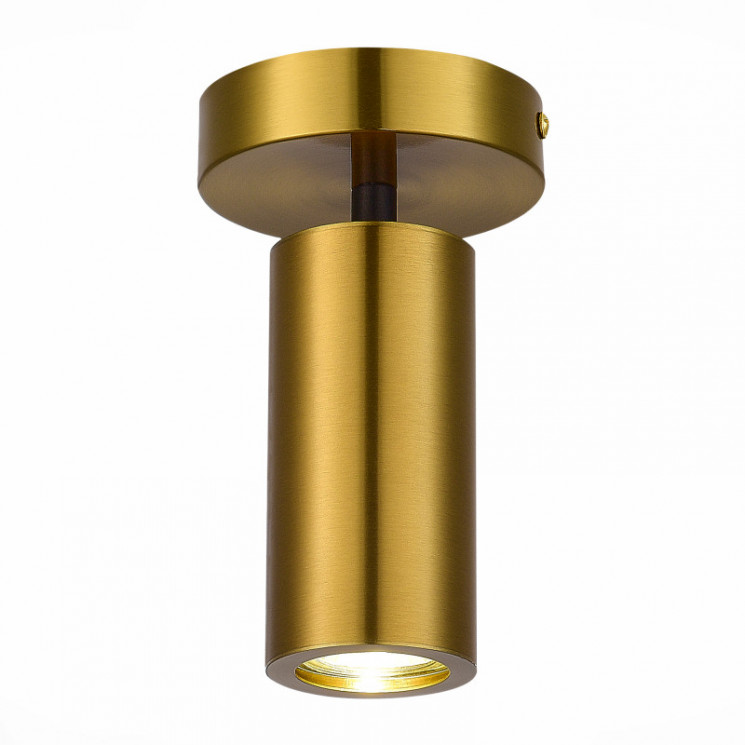 Накладной светильник ST-Luce SL1215.402.01 TALIA