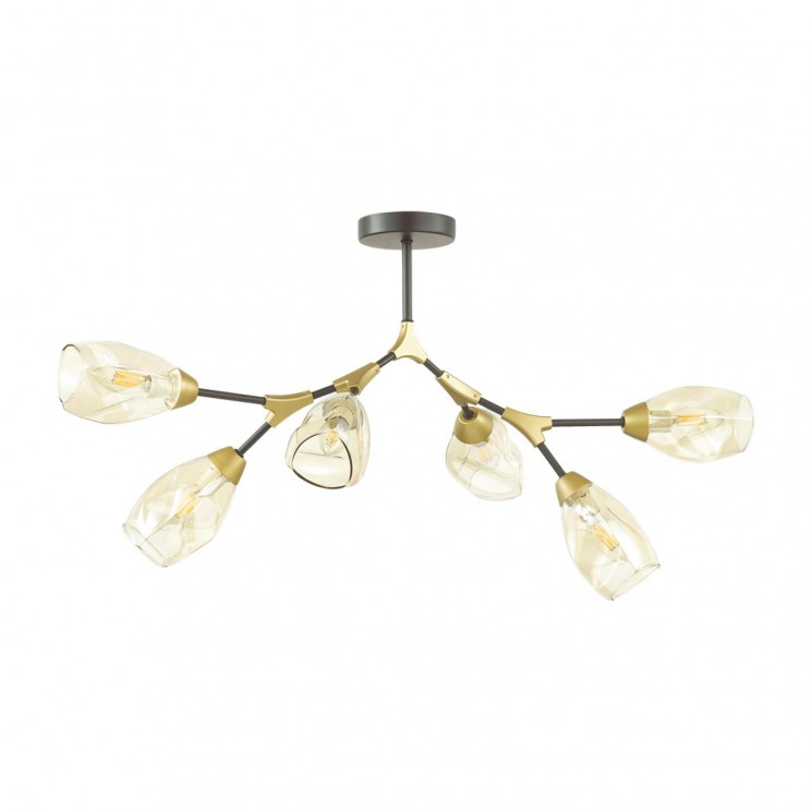 Люстра потолочная Lumion MODERNI 4563/6C