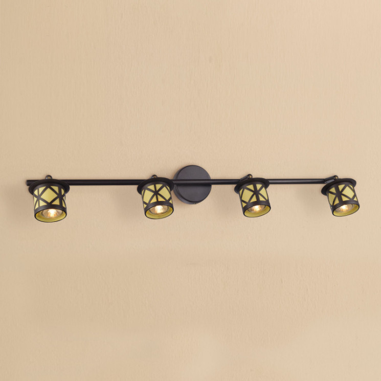 Спот Citilux CL536541 Гессен