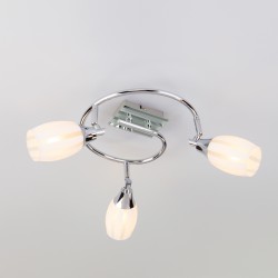 Потолочный светильник  Eurosvet Meridiane 20130/3 хром