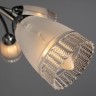 Светильник потолочный Arte lamp GIULIA A6198PL-6CC