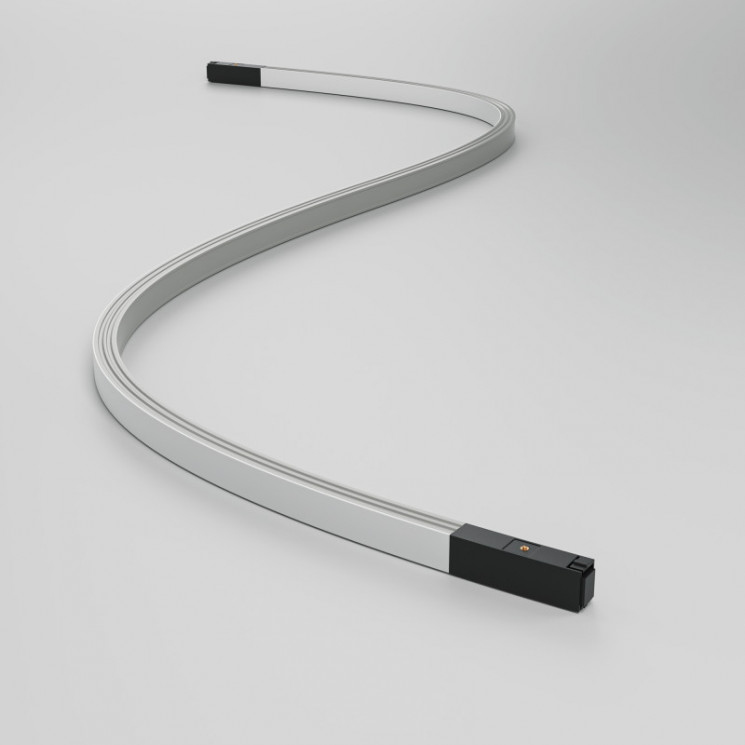 Светильник на шине Maytoni Technical Basity TR180-1-12WTW-B Flex