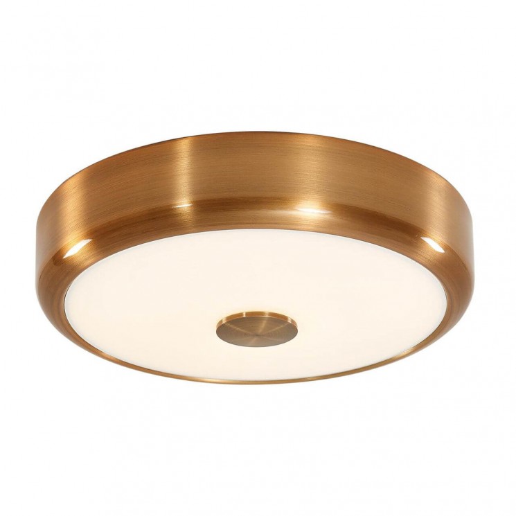 Светильник настенно-потолочный Citilux CL706122 Фостер-1