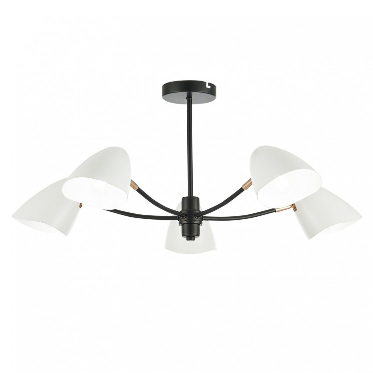 Люстра потолочная Evoluce SATTA SLE103602-05