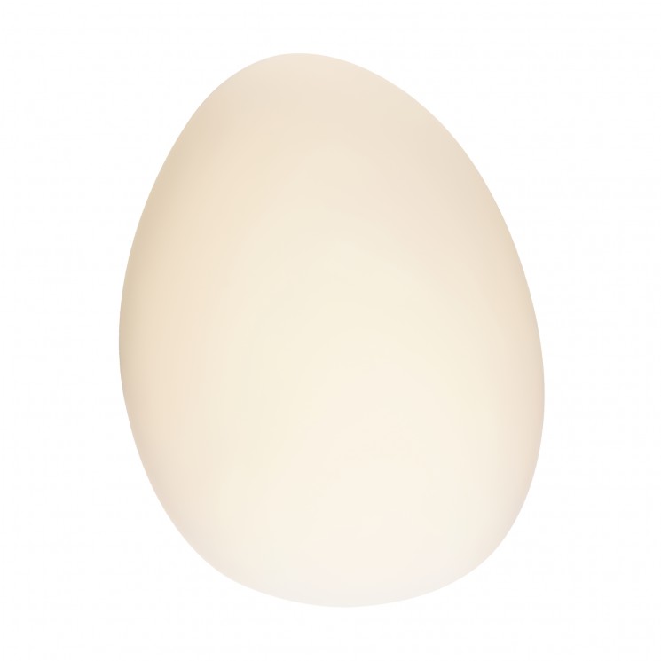 Настенный светильник  Maytoni Roca MOD004WL-L5W3K