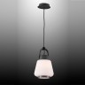 Подвесной светильник Mantra 6210 Kinke
