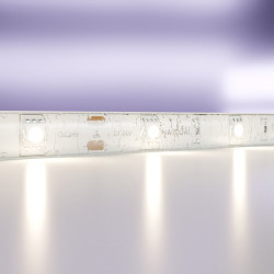 Светодиодная лента Maytoni(Led Strip) Technical  24В 5050 7,2Вт/м 4000K 5м IP65 10164
