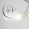 Потолочный светильник  Eurosvet Costa 30102/5 хром