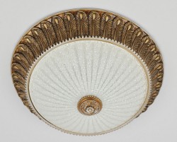 Светильник Citilux CL425354