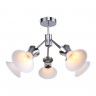 Потолочная люстра F-Promo Ligula 2196-5U