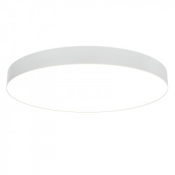 Накладной светильник Maytoni Technical  C032CL-90W3K-RD-W Zon