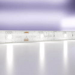 Светодиодная лента Maytoni(Led Strip) Technical  24В 5050 7,2Вт/м 6000K 5м IP65 10165