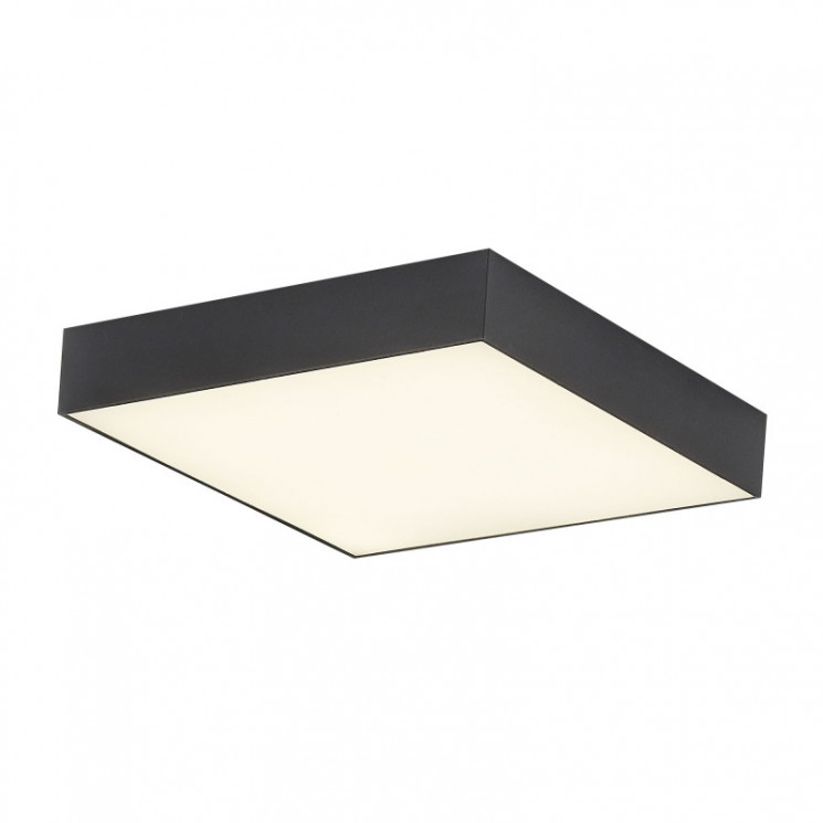 Накладной светильник Citilux CL712X242N Тао