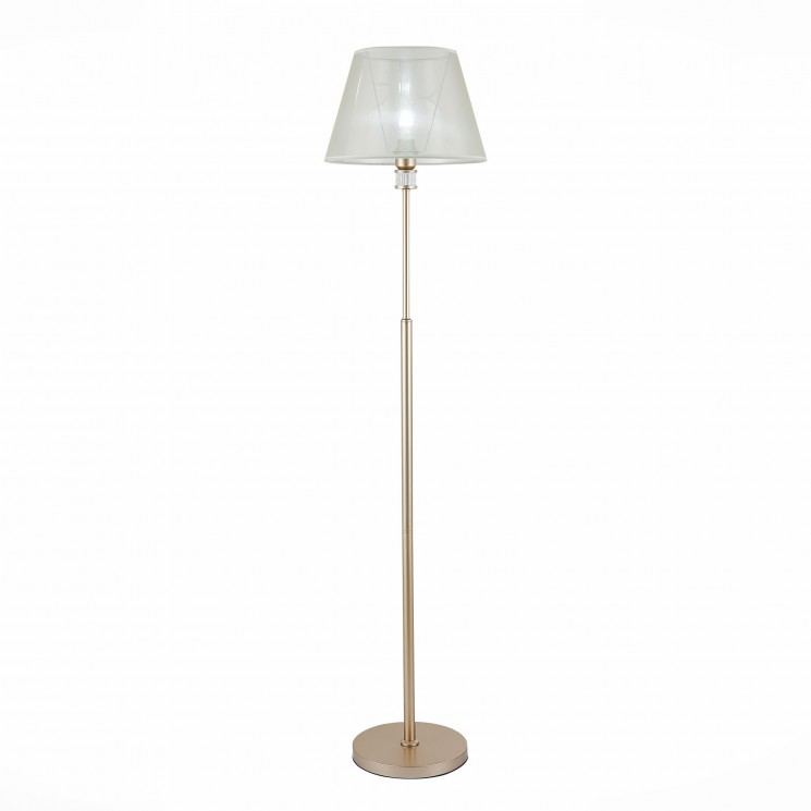 Торшер Evoluce MANILA SLE107505-01