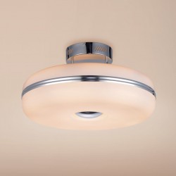 Светильник CITILUX CL250001