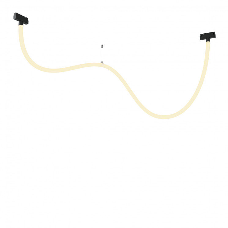 Трековый подвесной светильник Maytoni TR101-2-50W3K-B Tau