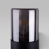 Светильник настенный Elektrostandard Roil (35125/D) чёрный/дымчатый плафон Roil