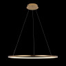 Подвесной светильник LOFT IT 10014L RING